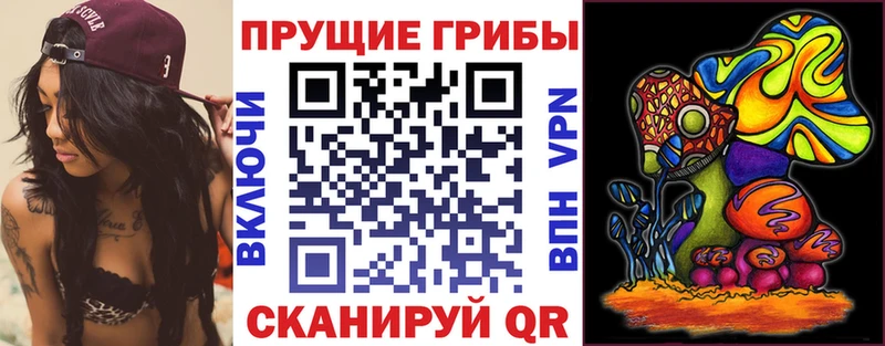 Галлюциногенные грибы Magic Shrooms  OMG зеркало  мориарти телеграм  цены наркотик  Карасук 